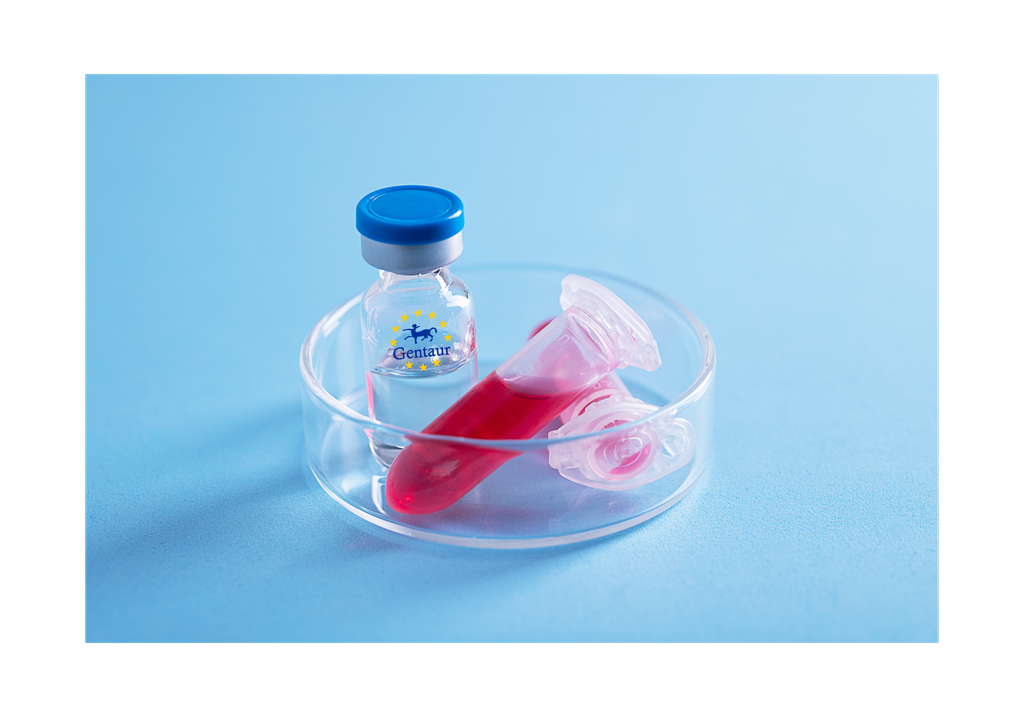 IL 1 beta Mouse