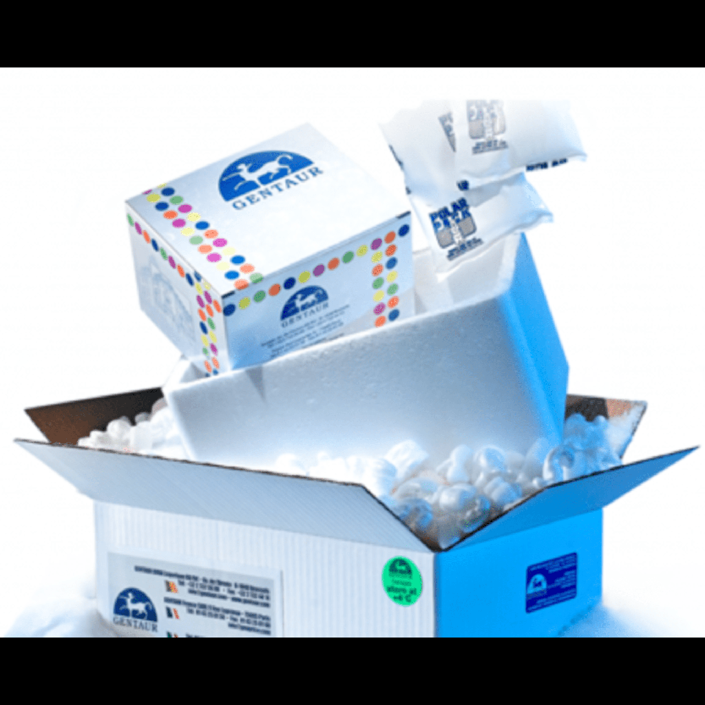 Amplirun® Enterovirus 71 RNA Control size: 12,500size:20,000 c/µl