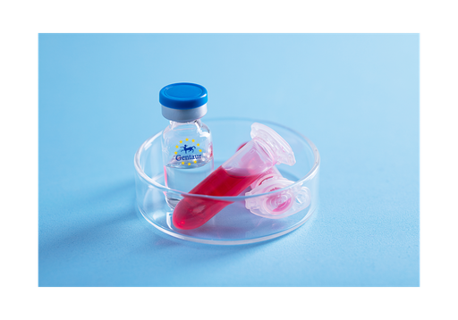 [GEN - PYT008-5ug] TNF a Rabbit