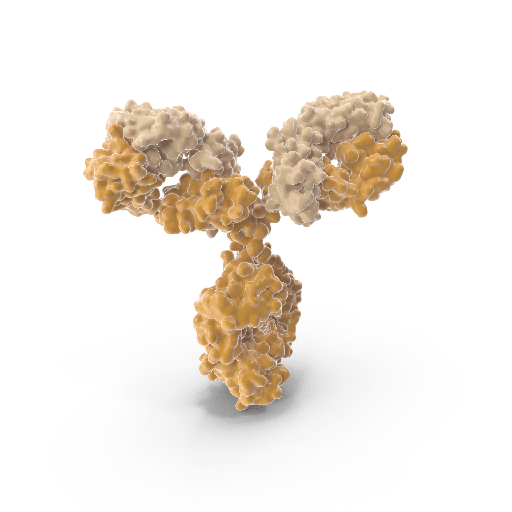 [0171-C208] CRISPR Stable Knockout Cell Line Generation